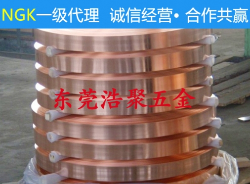 惠州高精磷铜